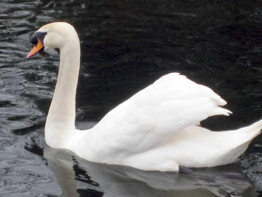 Autors: Tamāra Ulase