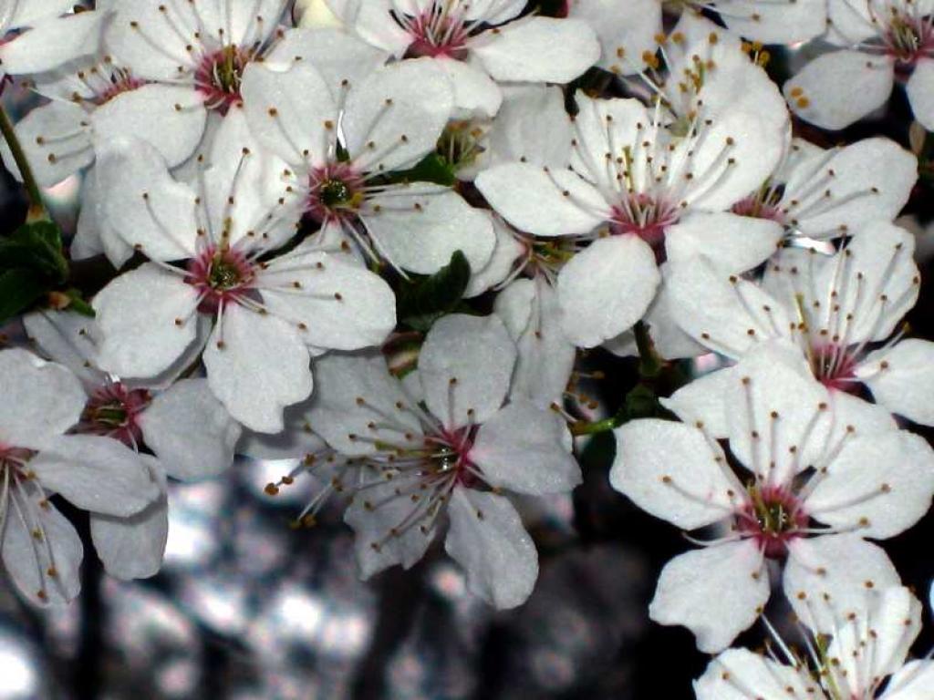 Autors: Tamāra Ulase