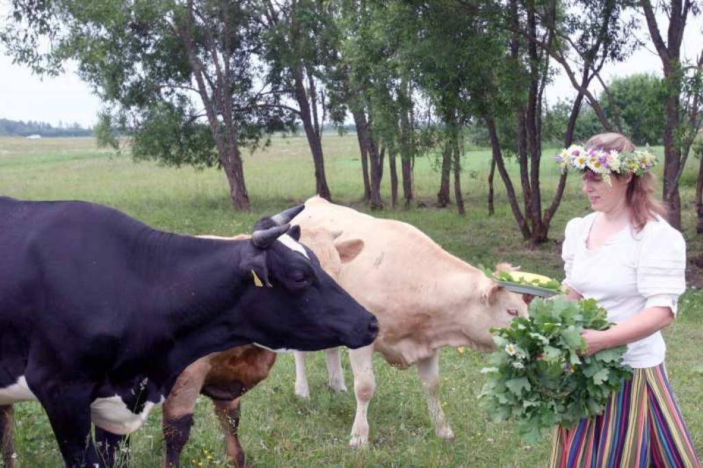 Aivas ģimenē uz Jāņiem tiek siets daudz siera. Arī šogad viņas mājās noteikti sanāks daudz ciemiņu. “Es uzskatu, ka šie ir latviešu tautas ģimeniskākie svētki,” saka Aiva.
Autors: Gatis Bogdanovs