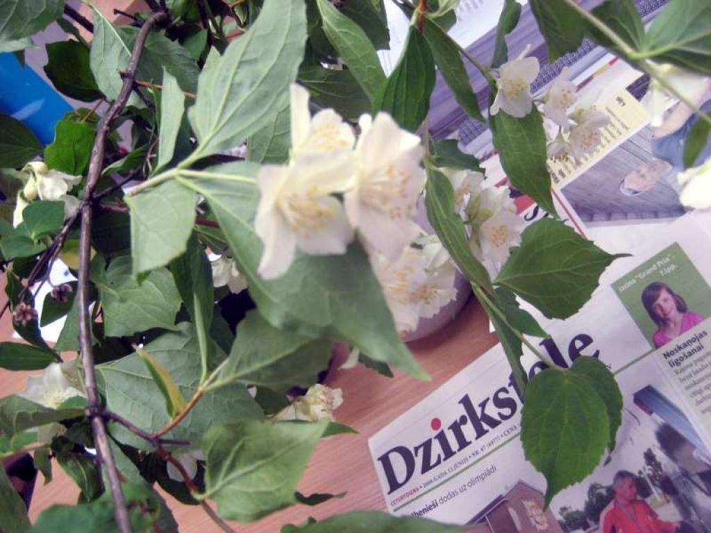 Autors: Diāna Odumiņa