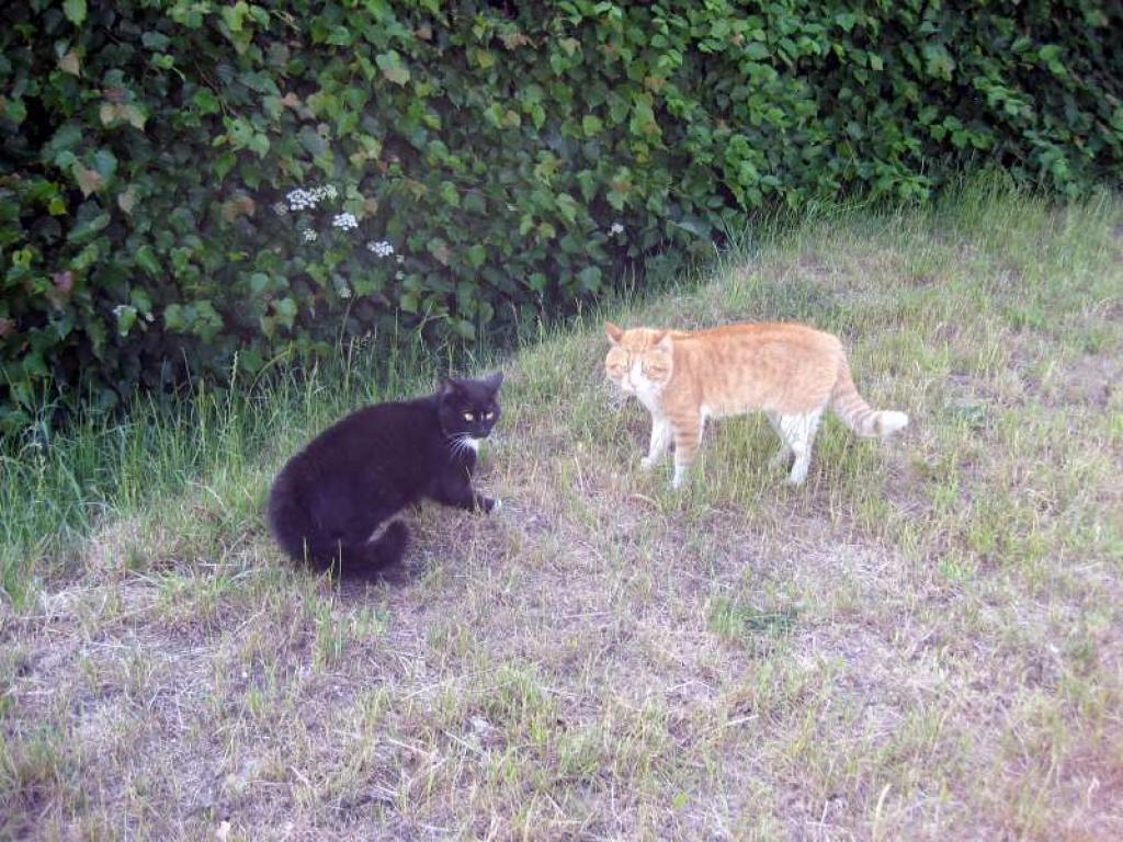 Autors: Foto: Diāna Odumiņa