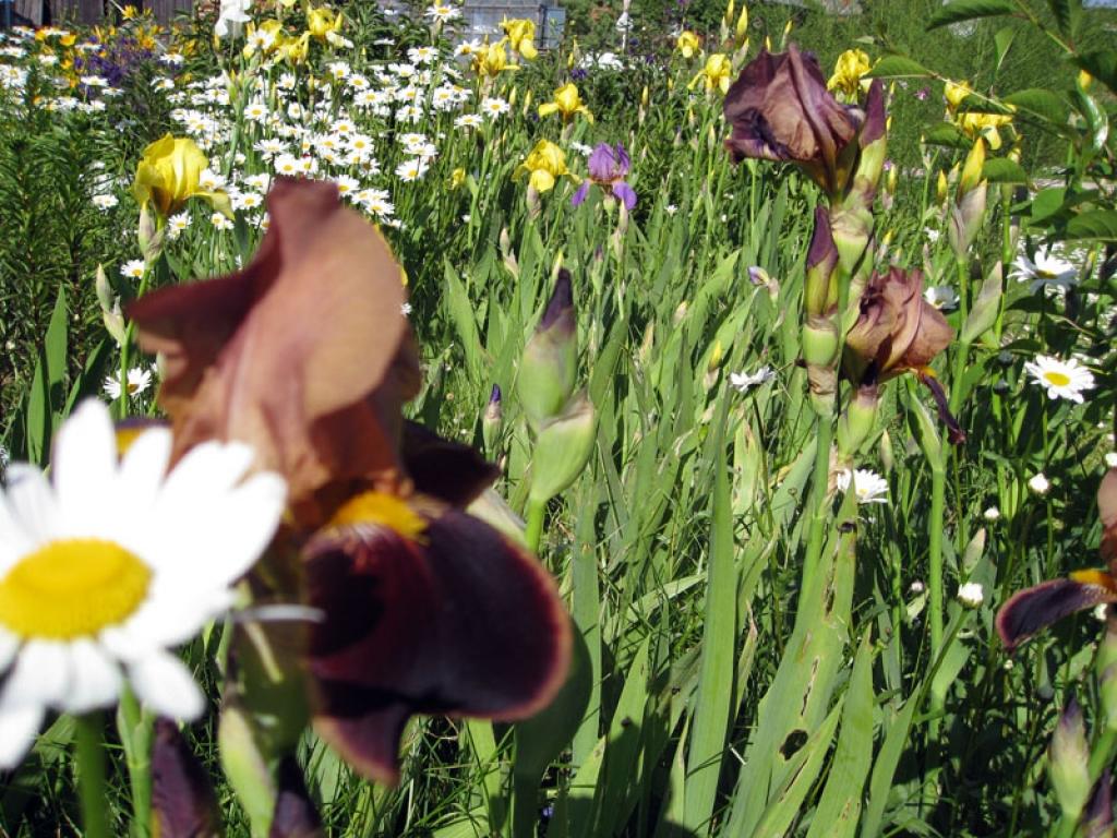 Autors: Tamāra Ulase