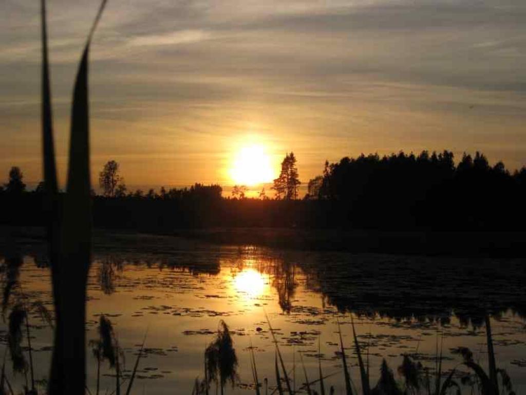 Autors: Tamāra Ulase