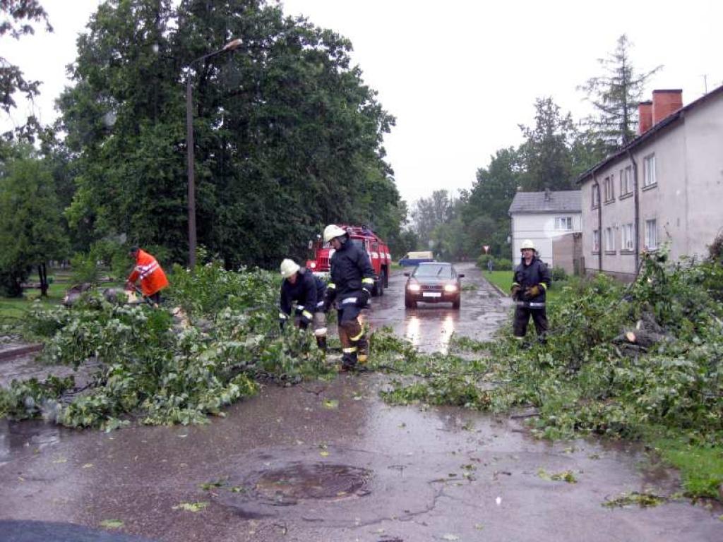 Autors: Evita Brokāne