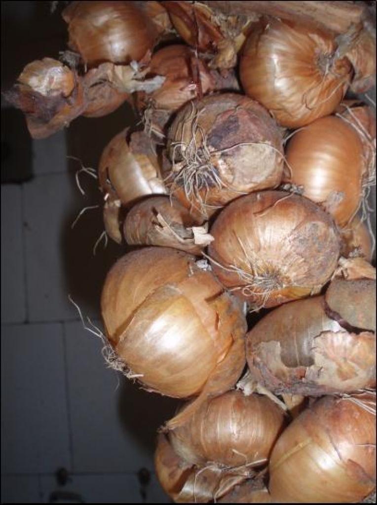 Autors: No interneta