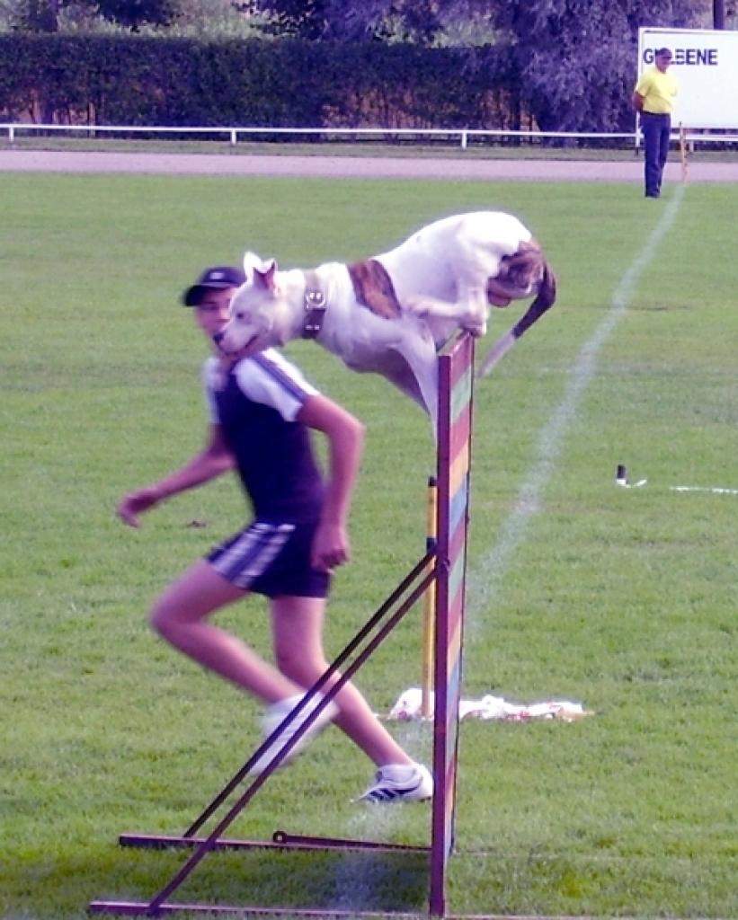 Pērnā gada suņu sacensībās.
Autors: Malda Ilgaža (no arhīva)