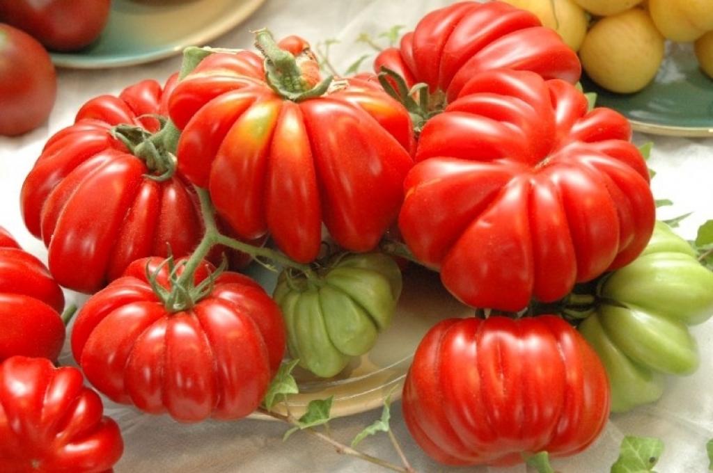 Autors: No muzeja arhīva