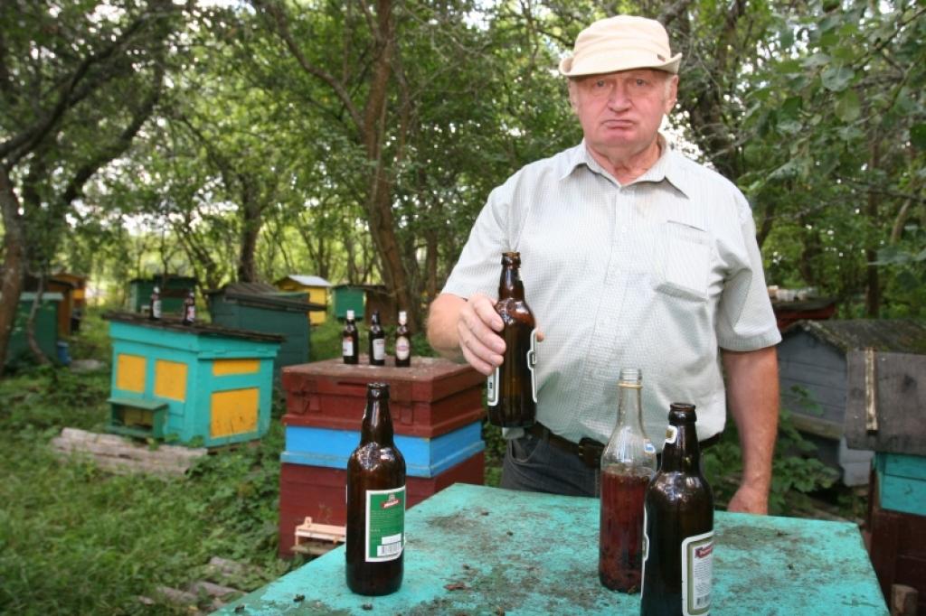 Rajona biškopības biedrības valdes priekšsēdētājs Armunds Galviņš atzīst, ka tik daudz lapseņu kā šajā gadā bišu dravā neesot manījis. To iznīcināšanai viņš pie bišu stropiem izvietojis pudeles, kurās ieliets salds sīrups, kas gatavots no medus, kas atšķaidīts ar ūdeni, izmantots arī mazliet ierūdzis ievārījums.
Autors: Gatis Bogdanovs