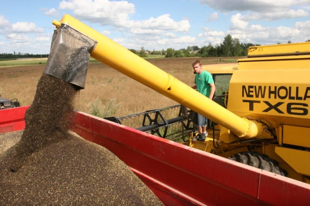 Zemnieku saimniecībā 