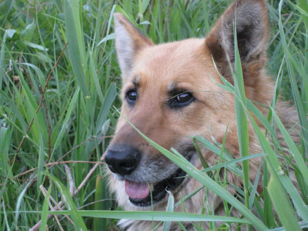 Autors: Tamāra Ulase