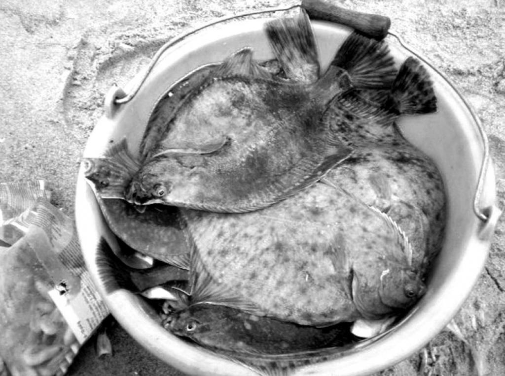 Prasmīgs meistars var tikt pie lieliska butu loma.
Autors: No Ritas Verzas – Grabovskas albuma