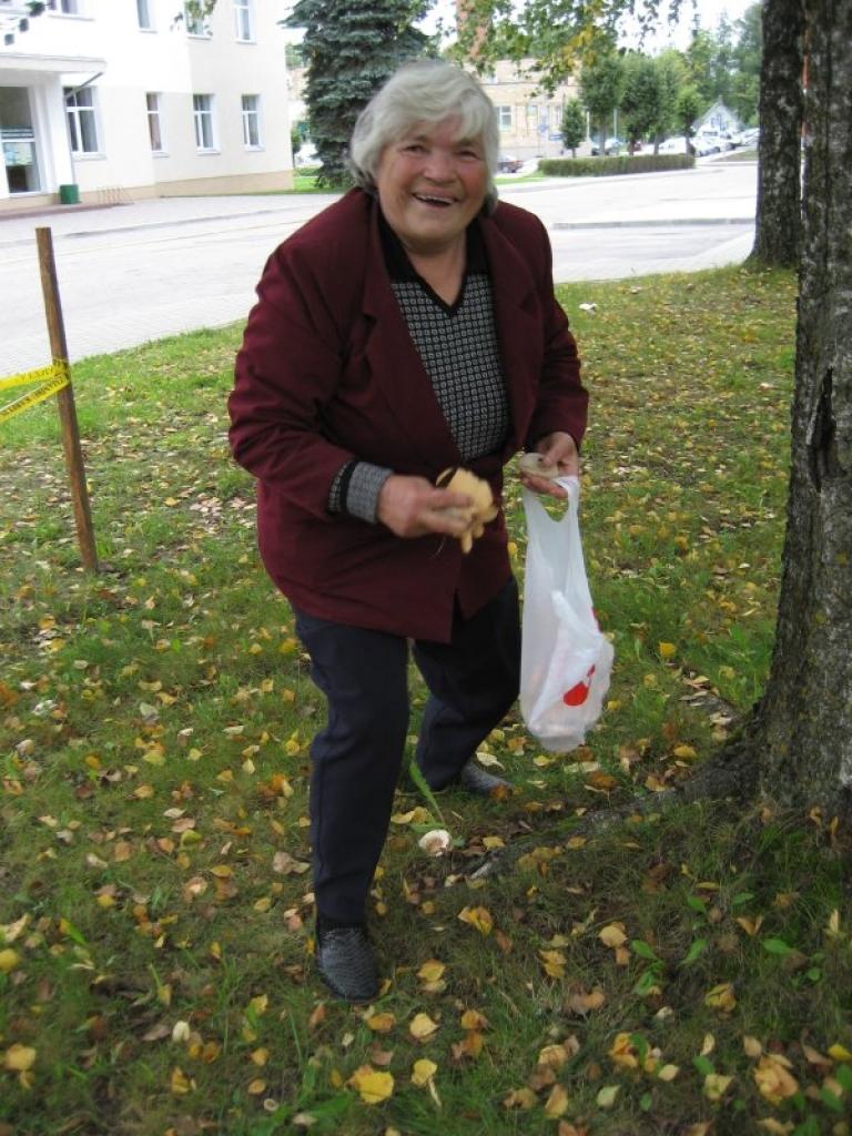 Gulbenes centrālajā skvērā blakus strūklakai saaugušas ēdamās sēnes, līdz ar to netrūkst arī sēņotāju.
Autors: Diāna Odumiņa