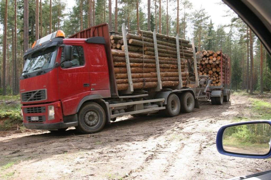 Kad pa šo meža ceļu izbrauc smagās automašīnas ar milzīgām baļķu kravām, uz ceļa vietām paliek milzīgas rises, kuras pēc lietus ar vieglo automašīnu nav izbraucamas. 
Autors: Gatis Bogdanovs