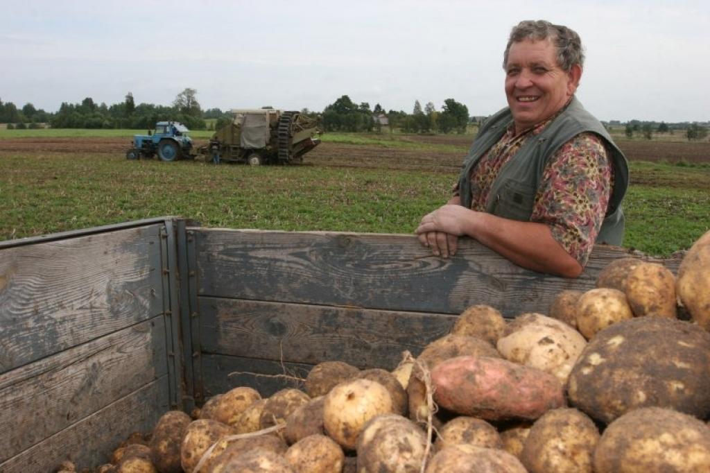 “Šajā laukā raža ir normāla, bet citos – slikta. Uz viena lauka pat vispār nav vērts doties virsū ar traktoru, tur viss būs izslīcis,” saka Kārlis Matīss.
Autors: Gatis Bogdanovs