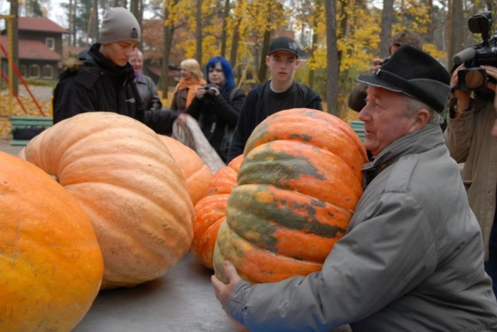 Ķirbju svēršana pērn Zooloģiskajā dārzā.
Autors: No Rīgas Zooloģiskā dārza arhīva