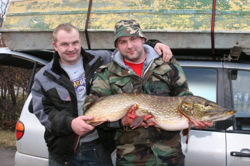 Gulbenieši Aivim Gutānam un Raivim Ravinskim ceturtdien palaimējās tikt pie milzīgas 14,2 kilogramus smagas līdakas. Puiši atzīst, ka šī šobrīd ir viņu mūžā lielākā noķertā līdaka. Šī milzīgā līdaka ir ļoti cienīgs loms un tikai par dažiem kilogramiem atpaliek no Latvijas rekordzivs. Latvijas Makšķerēšanas sporta federācijas reģistrētā rekordlīdaka ir 1989.gadā Cēsu rajona Ungura ezerā noķertā 19,56 kilogramus smagā līdaka. 
Autors: Evita Brokāne