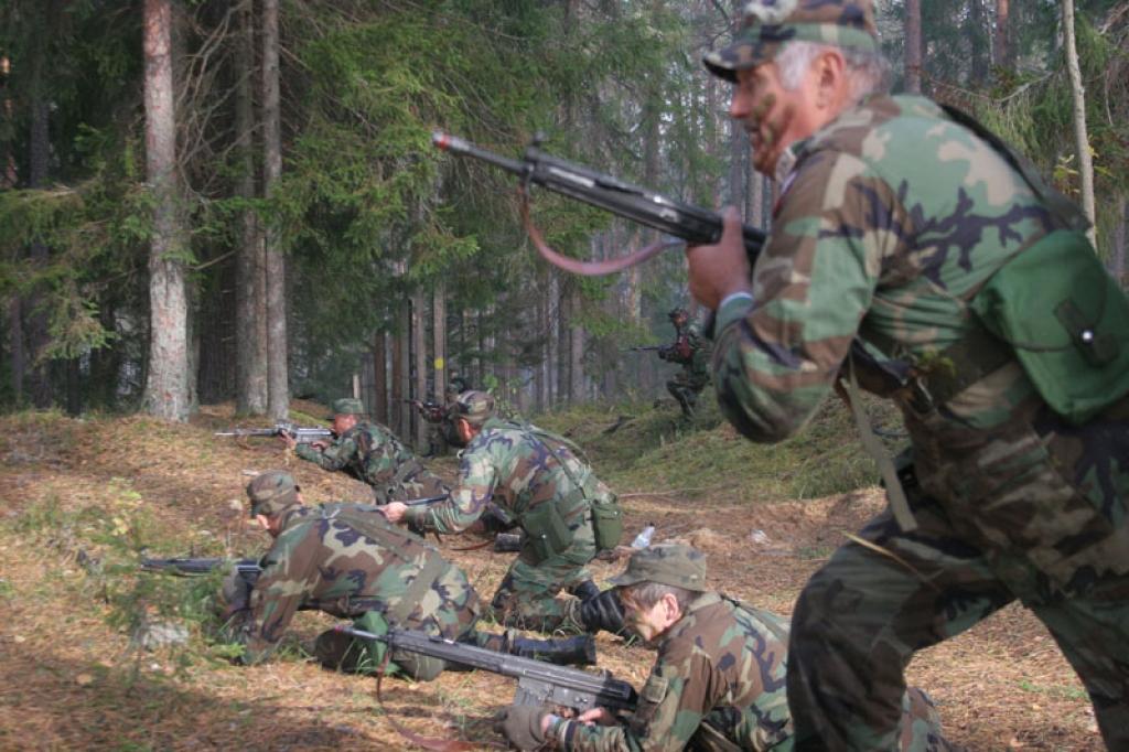 Autors: Gatis Bogdanovs