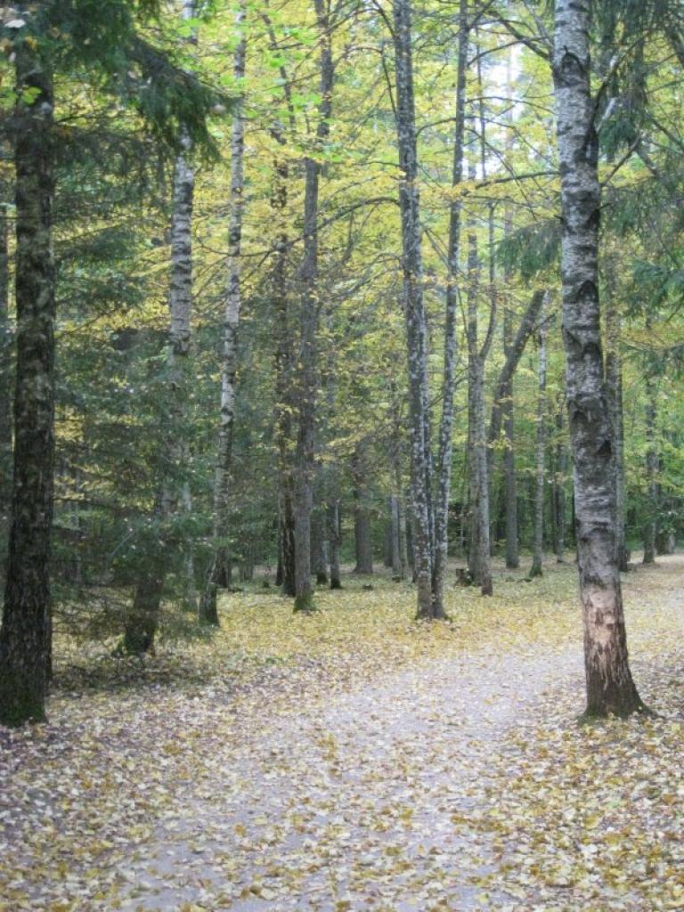 Autors: Tamāra Ulase