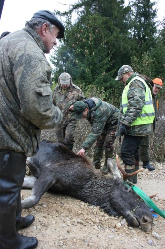 Autors: Gatis Bogdanovs (no arhīva)