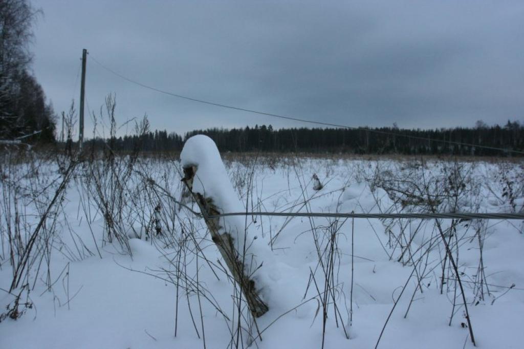 Nesen bija vērojama šāda aina - zemsprieguma līnijas vadi  atradās apmēram viena metra augstumā virs zemes, vietām tie aptīti ap koku stumbriem, vietām – ap mietiem.
Autors: Gatis Bogdanovs