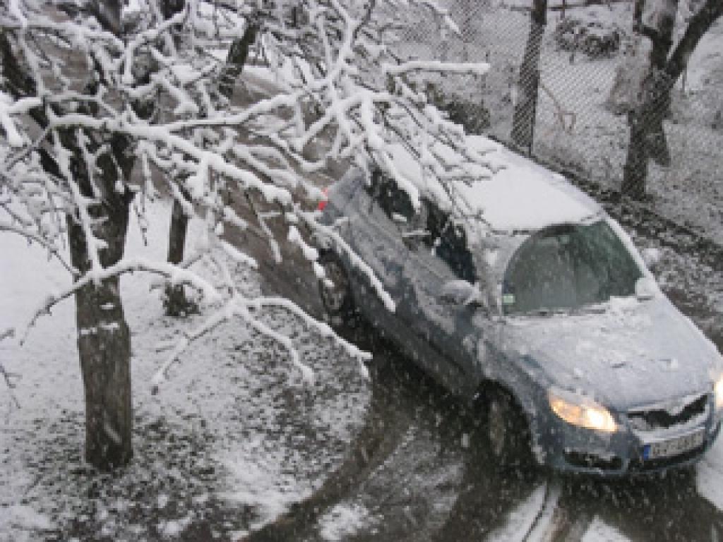 Autors: Tamāra Ulase