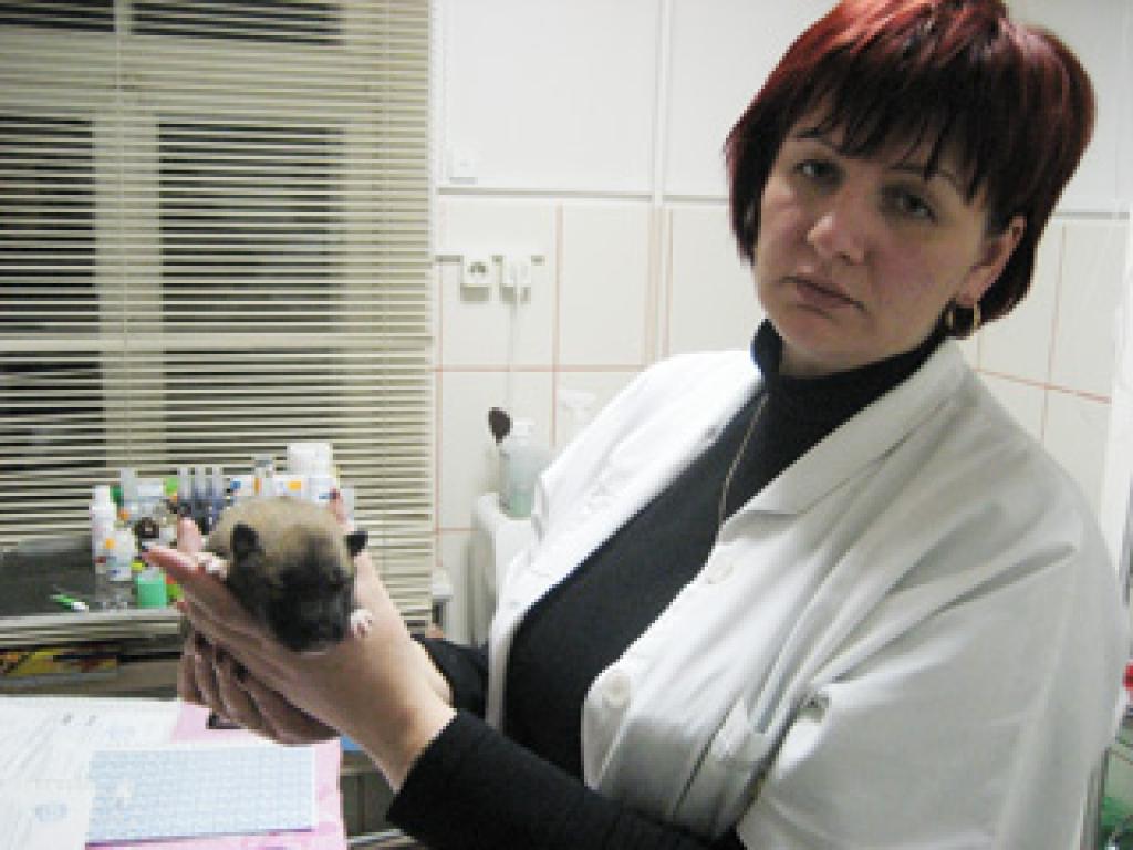 Veterinārārste Elita Lesiņa saka, ka miskastē atrastais suņuks ir vesels, tam vajag siltumu, pienu un rūpes. Tā kā Gulbenē nav dzīvnieku patversmes, šādos gadījumos grūtdieņiem jāpaļaujas un apkārtējo cilvēku žēlsirdību.
Autors: Diāna Odumiņa 