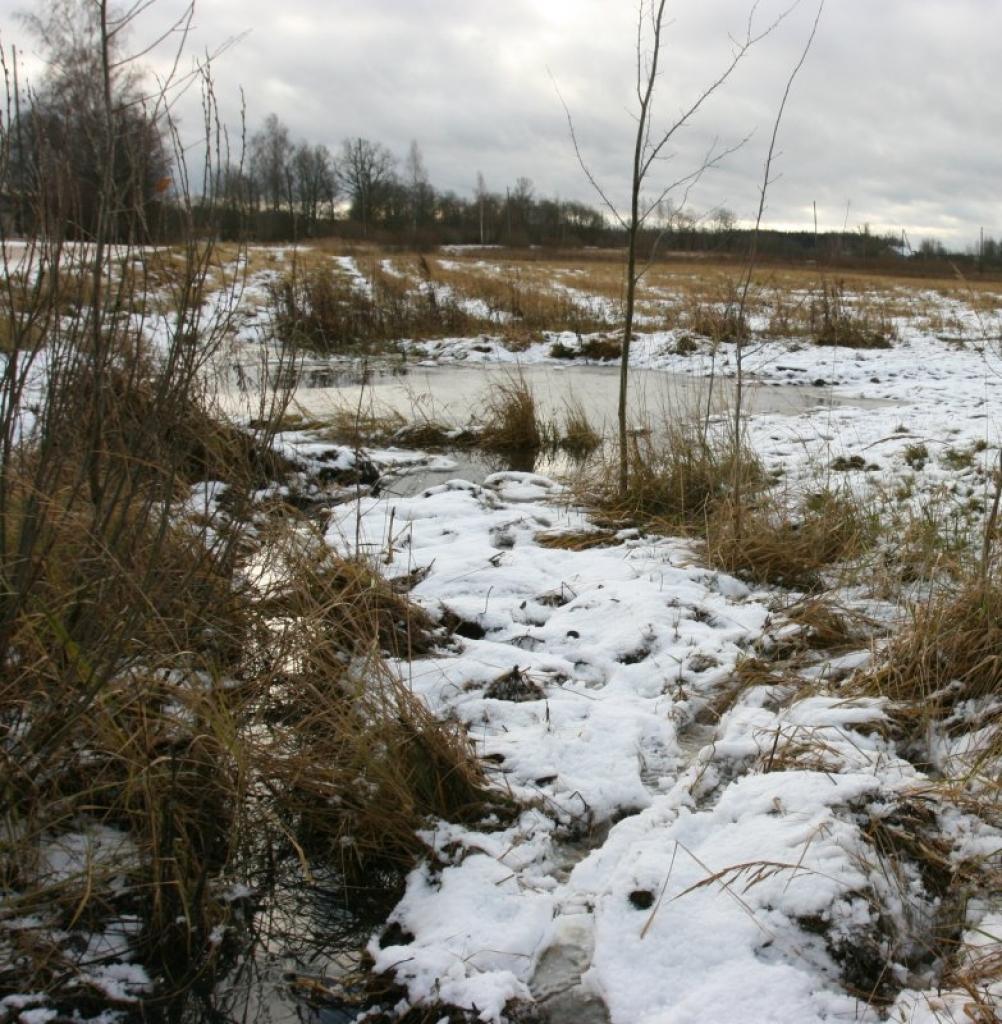 Autors: Gatis Bogdanovs