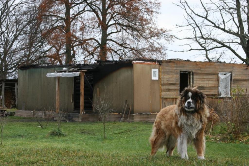 Liteniete Maija Leimane stāsta, ka viņi uzreiz novākuši gruvešus, lai skats nav tik drūms. 
Autors: Gatis Bogdanovs