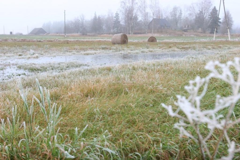 Rīta stundās dažviet uz peļķēm un nelielām ūdenskrātuvēm šonedēļ bija vērojama plāna ledus kārtiņa.
Autors: Gatis Bogdanovs