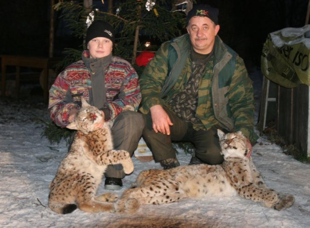 Mednieku kluba “Litene” vadītājs Jānis Kļaviņš var būt lepns, jo Otrajos Ziemassvētkos vienā dienā un vietā no viņa raidītās lodes krituši divi lūši.
Autors: Gatis Bogdanovs