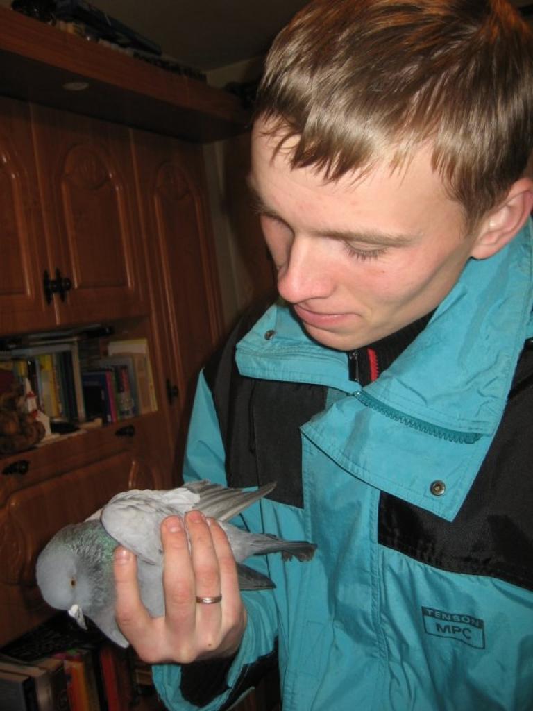 Šodien, sazinoties ar Sergeju, “Dzirkstele” noskaidroja, ka balodis pamazām atlabst. Tas gan joprojām neko neēd, taču dzer ūdeni. Konsultēšanās ar veterinārārstu nekādu skaidrību situācijā neieviesa. Jāturpina kopt un novērot balodi.
Autors: Diāna Odumiņa