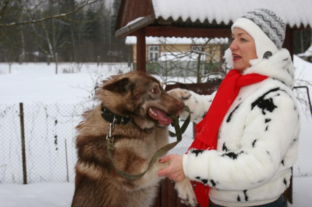 Sarmītei ar Persiju ļoti patīk doties garās pastaigās. Suņuks tad dabū izskrieties, bet Sarmīte atpūšas no darba. “Viņš man sniedz daudz prieka un pozitīvu emociju,” atzīst gulbeniete. 
Autors: Gatis Bogdanovs