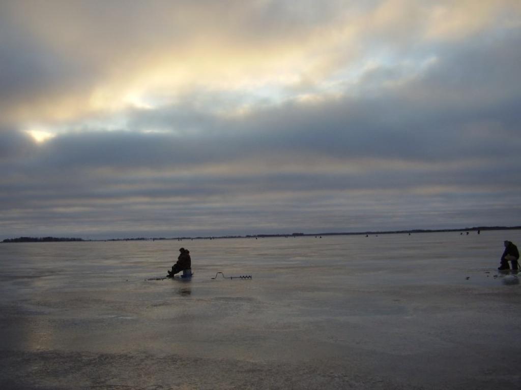 Peipusa ezera tā sauktas “siltais gals“ un Pērnavas jūras līcis Igaunijā šobrīd ir tās vietas, kur, pēc kārtīga loma tīkojot, sabrauc zemledus makšķernieki no tuvienes un tālienes. Starp viņiem neiztrūkstoši ir arī gulbenieši. Lai cik agri...
Autors: Malda Ilgaža
