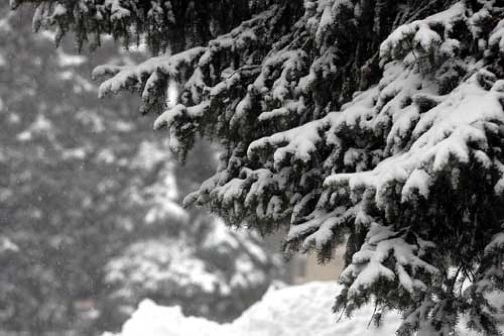 Autors: www.apollo.lv