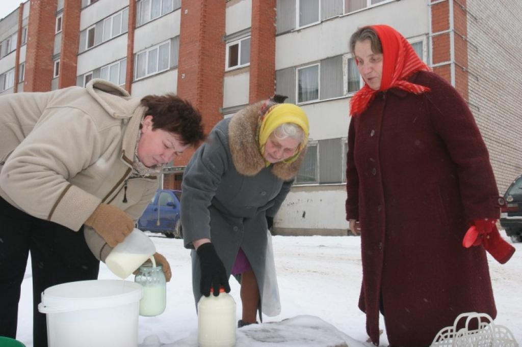 Galgauskas pagasta bioloģiskajā zemnieku saimniecībā “Purmalas” ražoto pienu iecienījuši daudzi Gulbenes pilsētas iedzīvotāji. Viņi to izvēlas tāpēc, ka produkts ir veselīgs, garšīgs un trekns. 
Autors: Gatis Bogdanovs