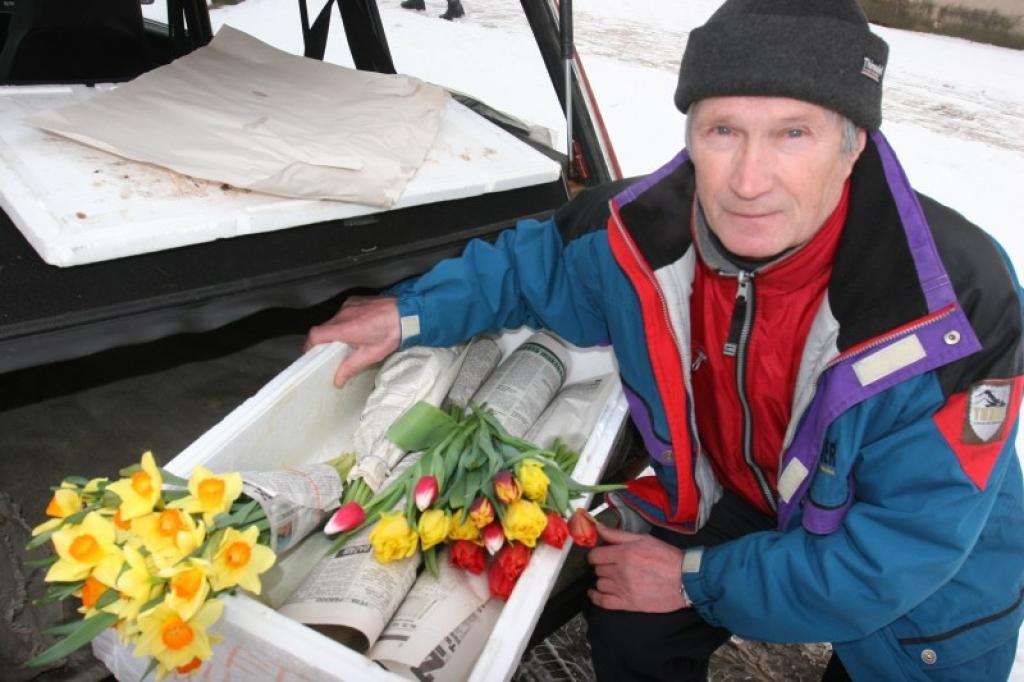 Vakar pensionārs Laimonis Māliņs uz pilsētu pārdošanai bija atvedis kārtējo tulpju un narcišu klēpi, cerot, ka tās šodien – Valentīndienā – kādu iepriecinās.
Autors: Gatis Bogdanovs
