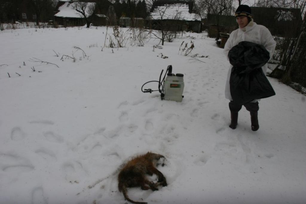 Pārtikas un veterinārā dienesta Gulbenes pārvaldes speciāliste Ilze Pāpe 