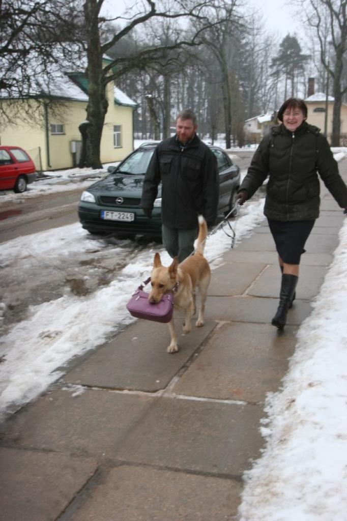 Rigo lepojas, ka var palīdzēt saimniecei un panest viņas somiņu.
Autors: Gatis Bogdanovs