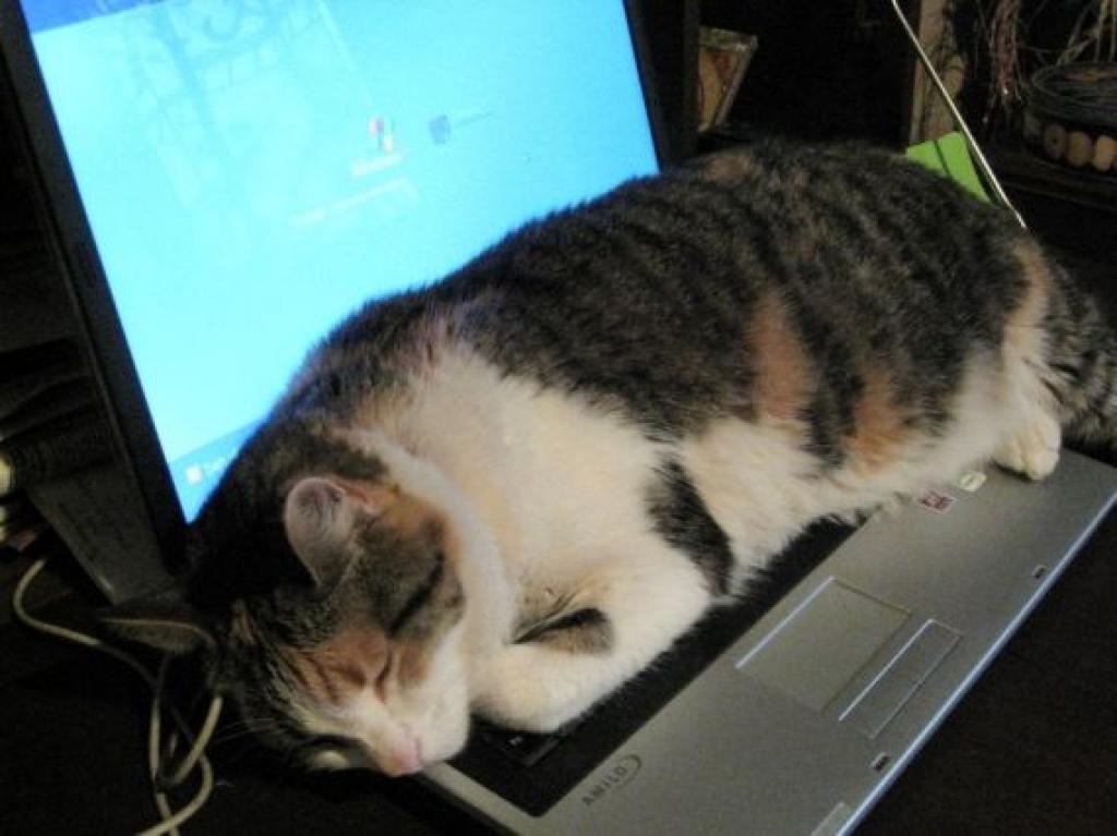 Autors: Tamāra Ulase