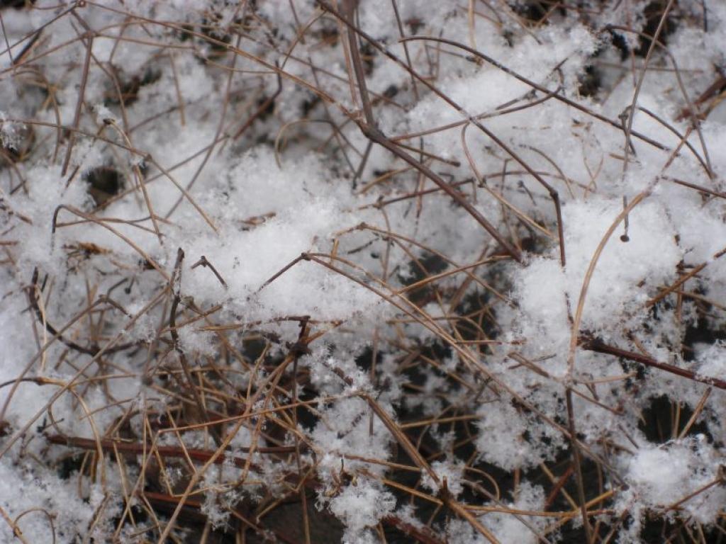 Autors: Tamāra Ulase