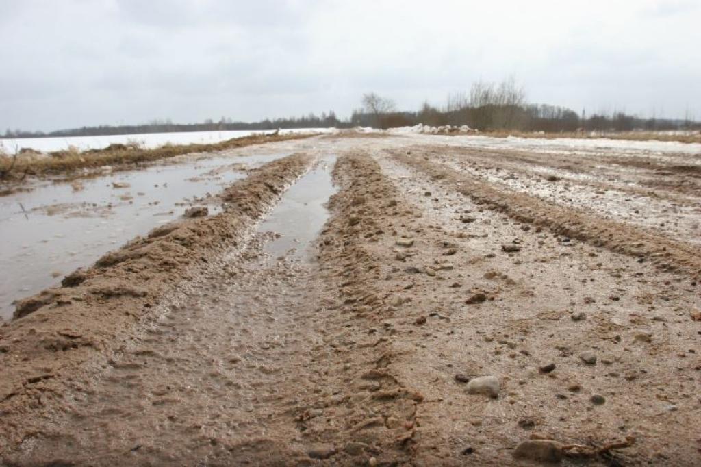 Piesaulē nelielu lauku celiņu virskārta jau ir atlaidusies un tos klāj dubļi, taču vietās, kur saule netiek klāt, pa tiem vēl var pārvietoties itin labi.
Autors: Gatis Bogdanovs