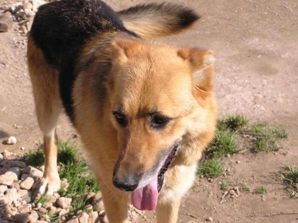 Autors: No personiskā albuma