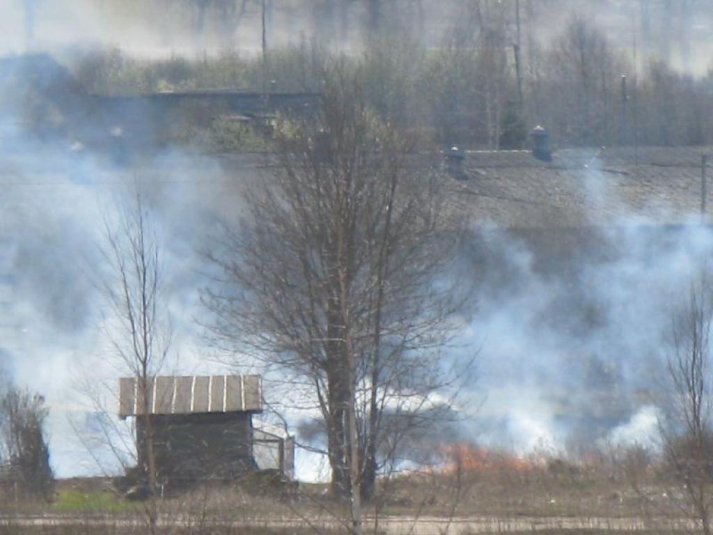 Sestdien pilsētā dega  teritorija pie Nākotnes ielas namu masīva.
Autors: Aija Konrāde