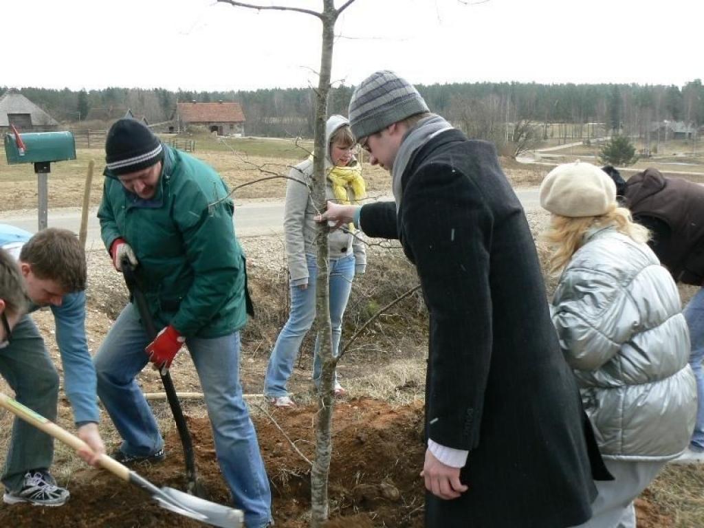 Par spīti ne īpaši patīkamajiem laika apstākļiem gar ceļu otrpus Lācītēm un Gaujai tika iestādīta ozolu aleja.
Autors: No personiskā albuma