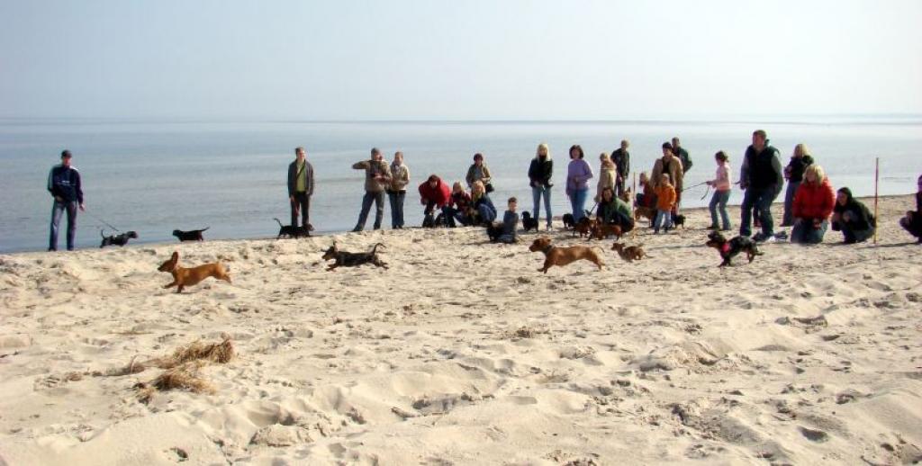 Autors: No personiskā albuma