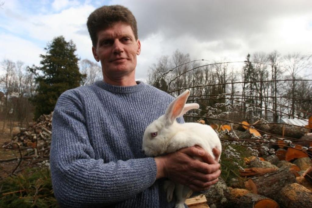 “Kad bērni vēl gāja bērnudārzā, Lieldienās uz grupiņu nesu trusi, kurš kļuva par galveno svētku varoni, jo visiem gribējās garausi noglāstīt. Mani truši ir spēlējuši Lieldienu zaķa lomu arī pagasta pasākumos. Arī tagad kaimiņu bērni bieži nāk apraudzīt pūkaiņus. Viņiem to neliedzu, tikai lūdzu, lai neaizmirst cieši aiztaisīt būrus,” stāsta Gvido Velps.
Autors: Gatis Bogdanovs