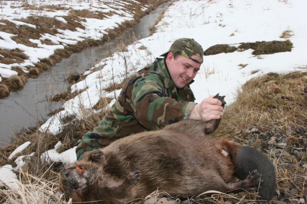 Uģis Žīds šosezon nevar lepoties ar lielu nomedīto bebru skaitu, taču līdz aprīļa beigām viņš vēl domā pacīnīties ar šiem kaitniekiem. 
Autors: Gatis Bogdanovs