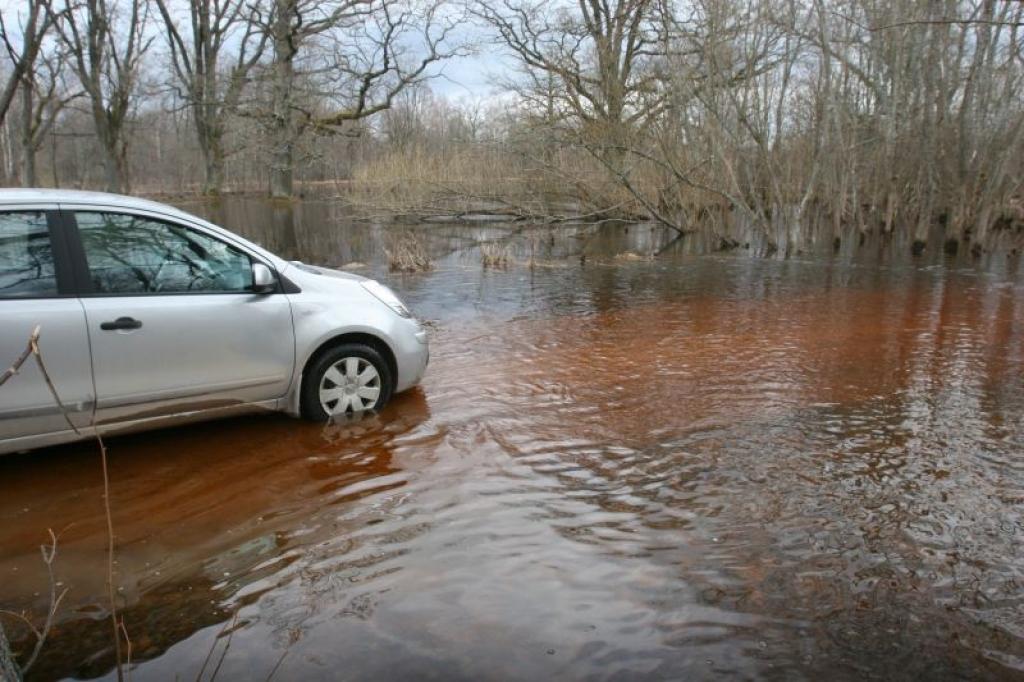 Pededzes upe, izkāpjot no krastiem, appludina tuvējo māju pagalmus, tīrumus un pļavas. 