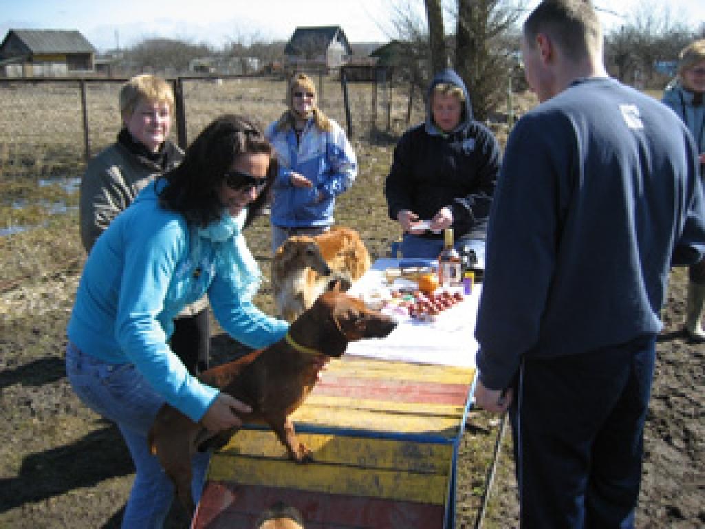 Gulbeniešu četrkājainie draugi vakar kopā ar saviem saimniekiem arī svinēja Lieldienas, pulcējoties suņu pastaigu laukumā.
Autors: Diāna Odumiņa