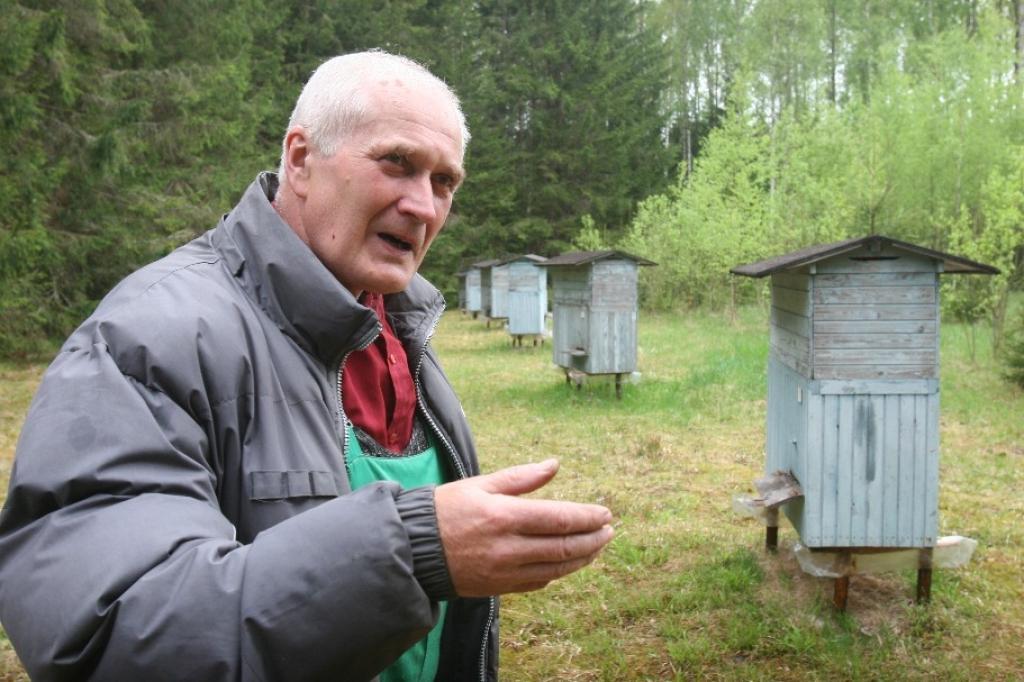 Bitenieks Kārlis Ecmanis no Stradu pagasta vienā stāvstropā izmitina divas bišu saimes. Stropam katrā pusē ir pa vienai ejai. Lai stropā saglabātu siltumu, bitenieks segšanai izmanto putoplastu.
Autors: Gatis Bogdanovs